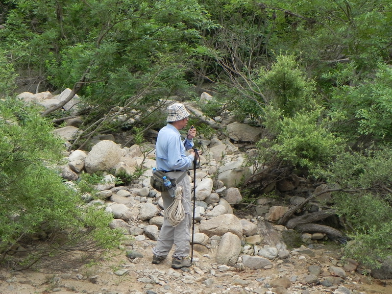 dscn0484.jpg