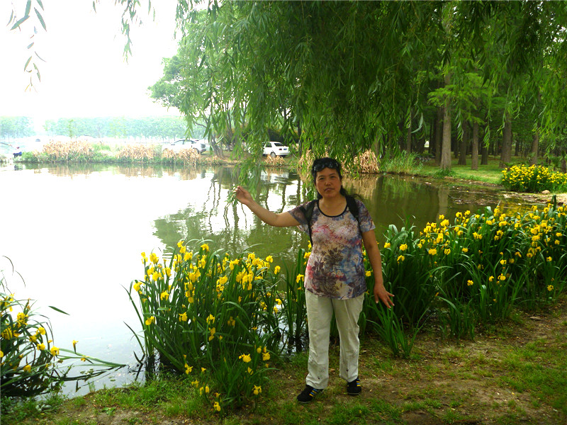 p1050878_����.jpg