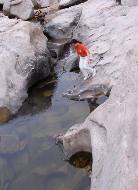 dsc_0166.jpg