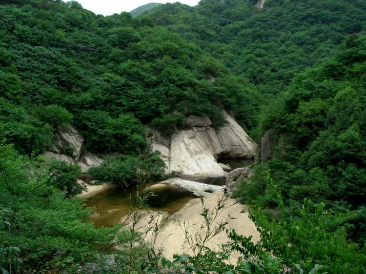 dsc08422fu.jpg