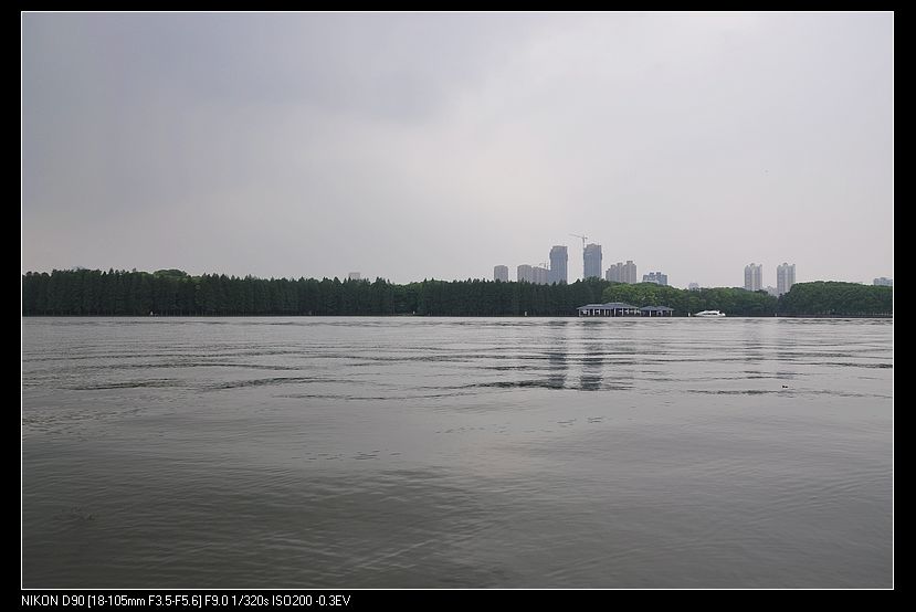 dsc_0295.jpg