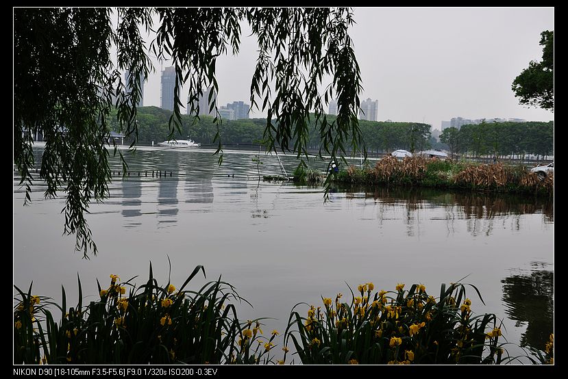 dsc_0301.jpg