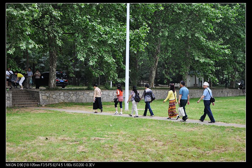 dsc_0310.jpg