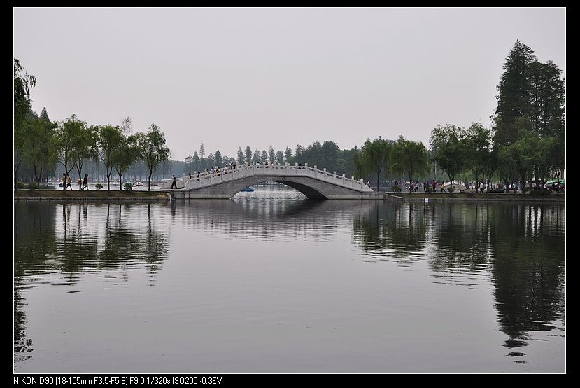 dsc_0318.jpg