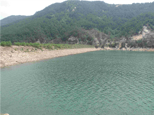 dsc03739_.jpg