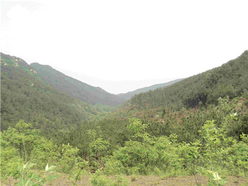 dsc03740_.jpg
