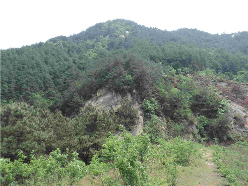 dsc03743_.jpg