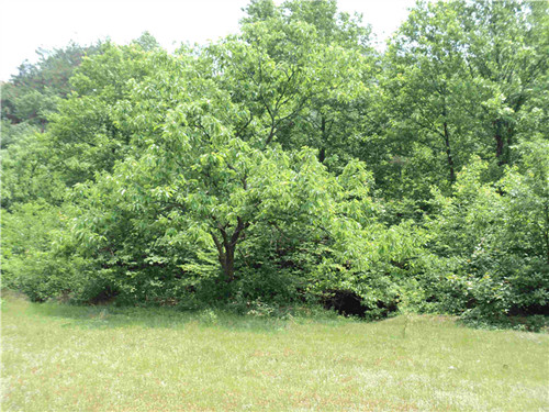 dsc03745_.jpg