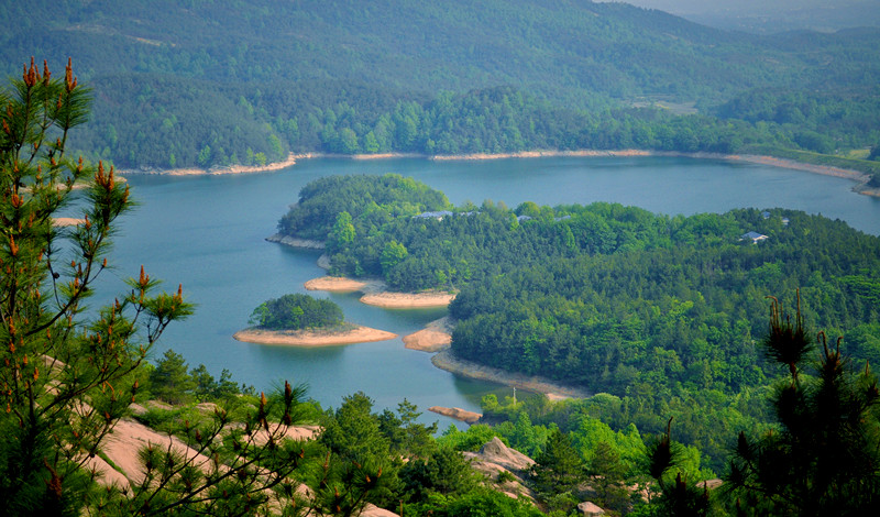 ţ����20110507 226.jpg