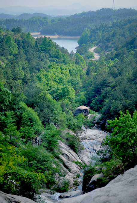 ţ����20110507 214.jpg