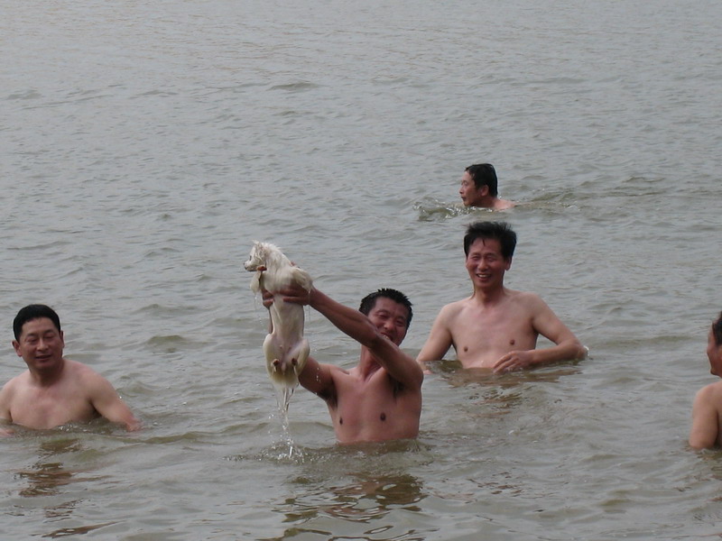 img_7871.jpg