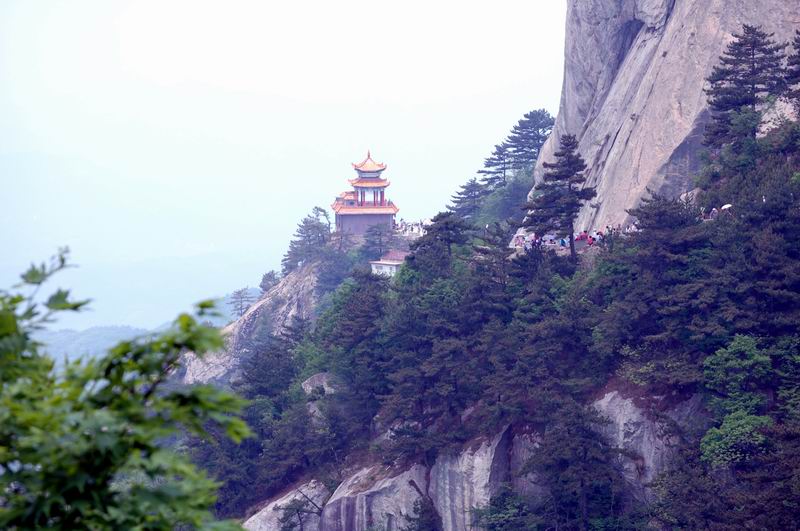 С dsc_0316.jpg