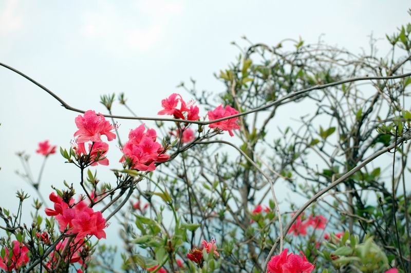 С dsc_0340.jpg