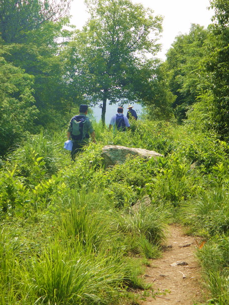 dsc08786.jpg
