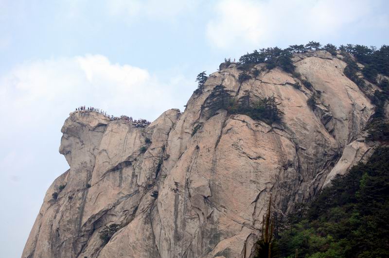 С dsc_0317.jpg