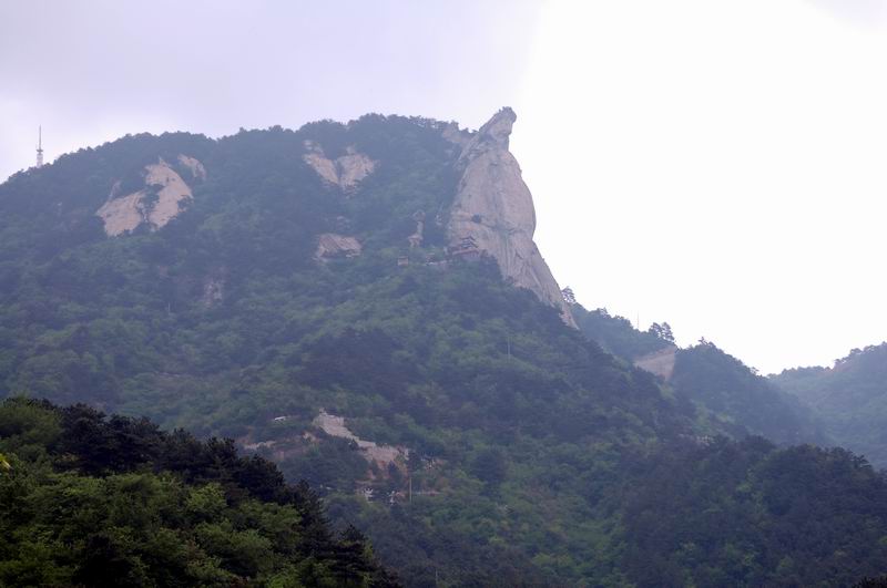 С dsc_0268.jpg