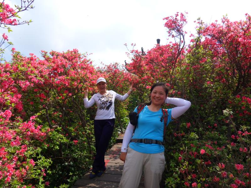 sdc10164.jpg