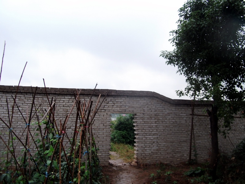 dscf1117.jpg
