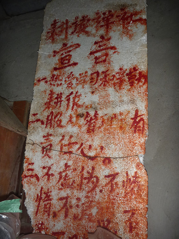 p1060910_����.jpg
