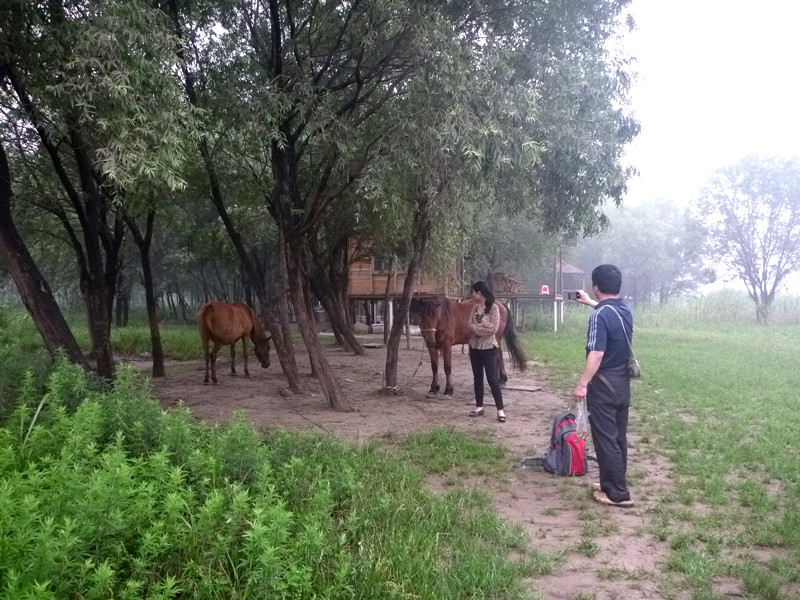 p1060927_����.jpg