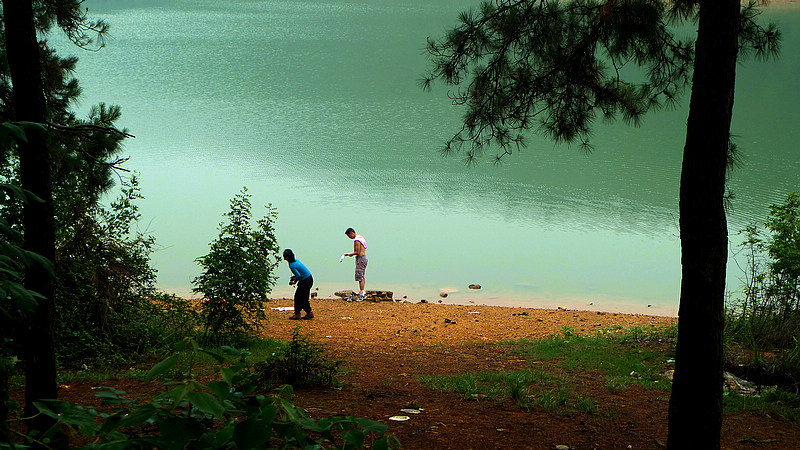 p1110219.jpg