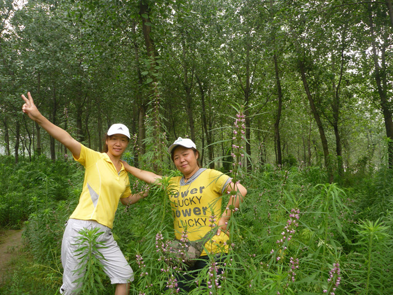 p1060980_����_����.jpg