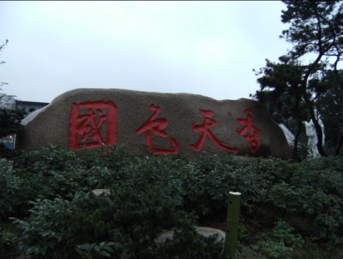 f5.jpg