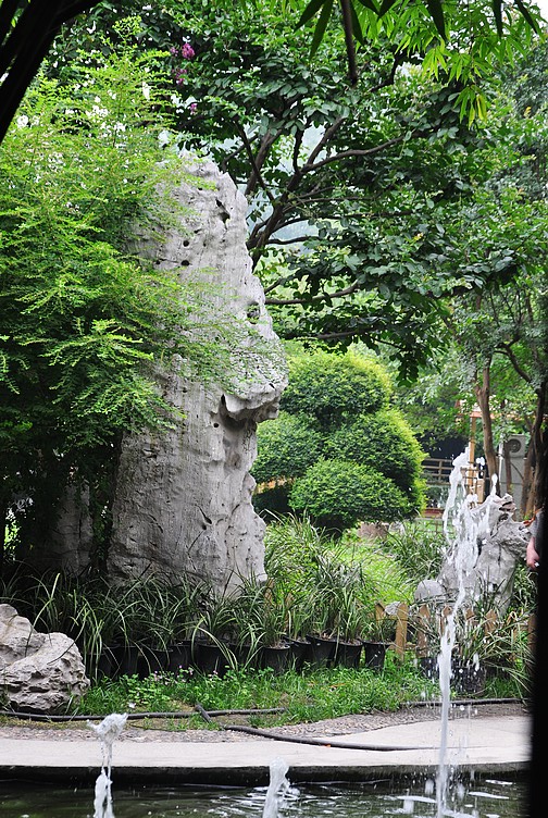 dsc_1021.jpg