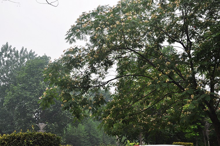 dsc_1040.jpg
