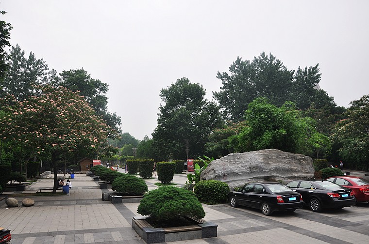 dsc_1056.jpg