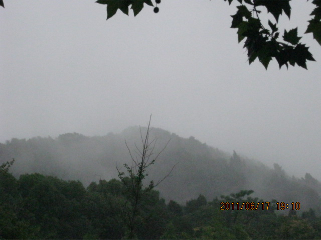 img_3452.jpg
