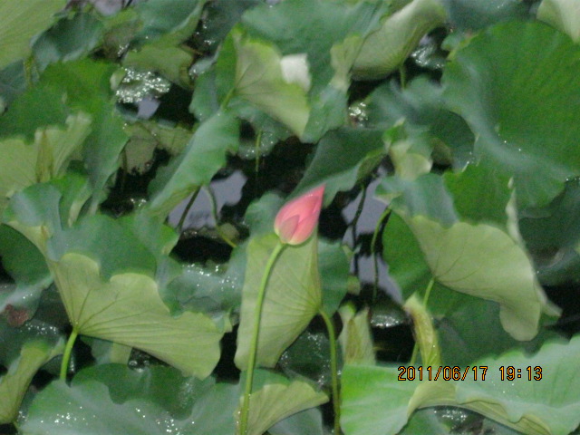 img_3454.jpg