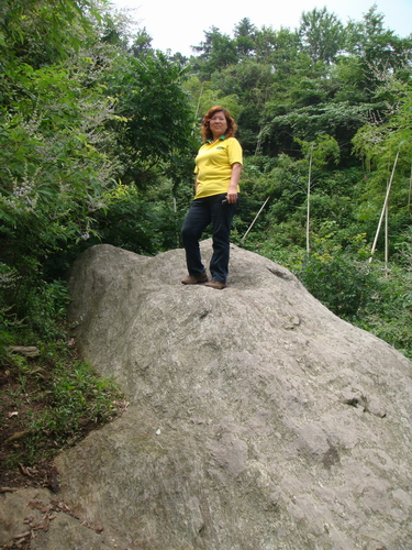 dsc08981.jpg