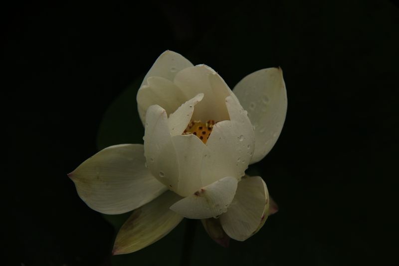 neo_img_img_0898.jpg