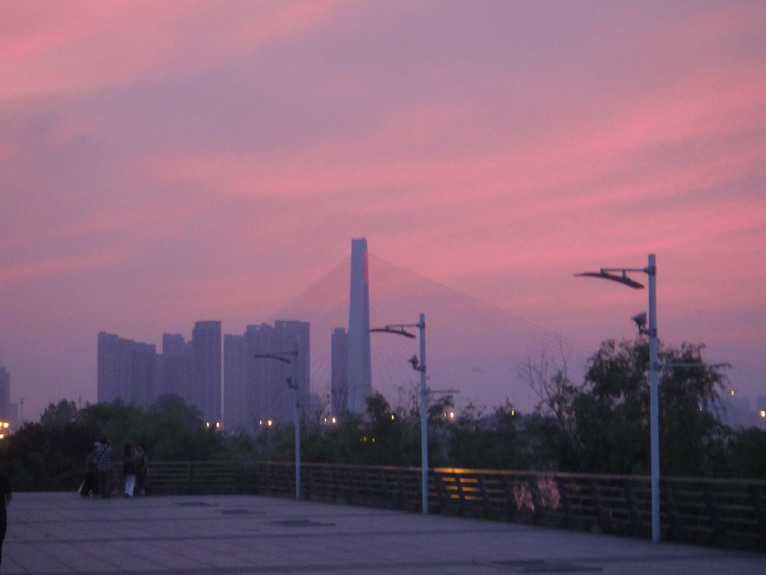dsc00135.jpg