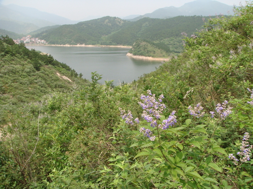 dsc09041.jpg