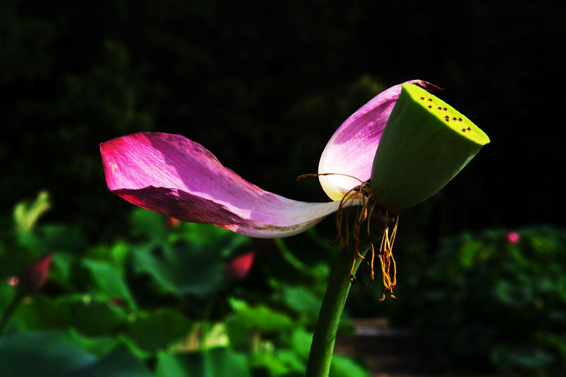 neo_img_img_5194.jpg