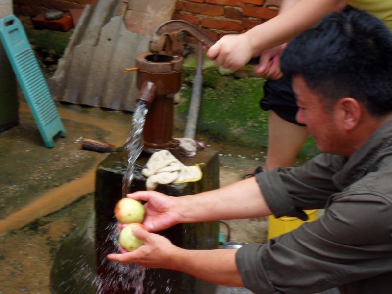 sdc10061.jpg