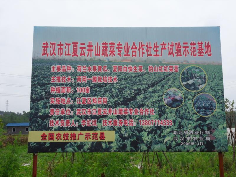 sdc10065.jpg
