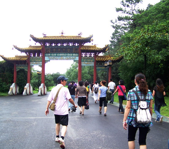 100_4691.jpg