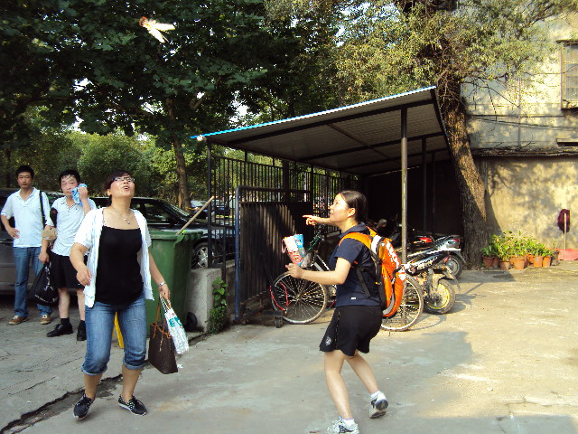 06.jpg