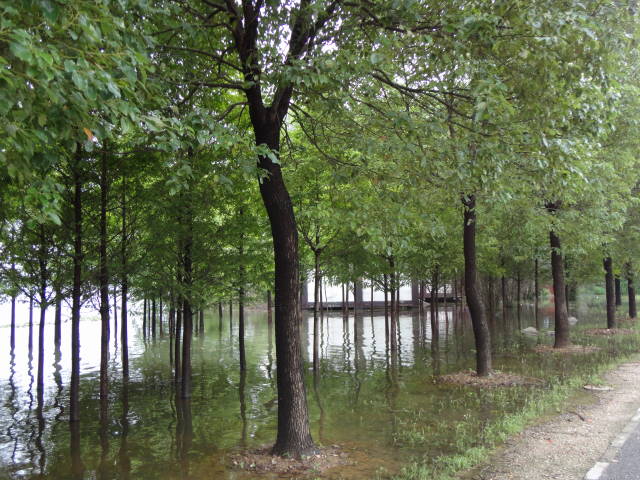 dsc00156.jpg