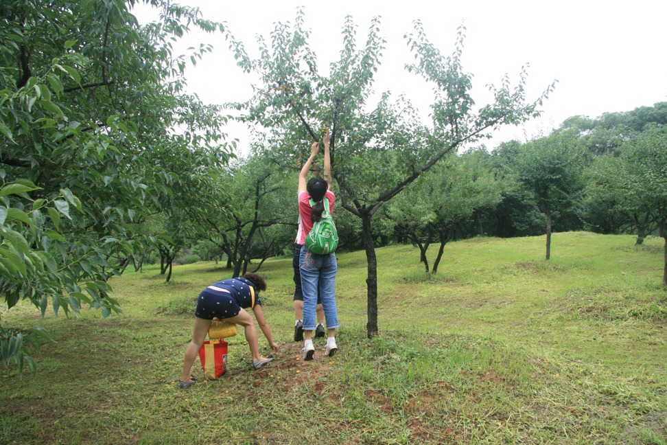20116192255298425.jpg