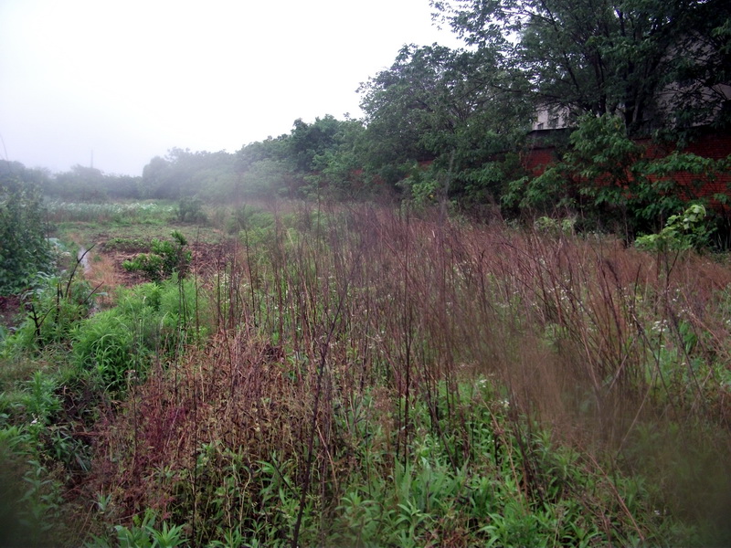 dscf1124.jpg
