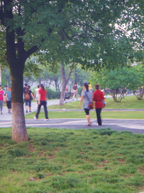 dsc01421.jpg