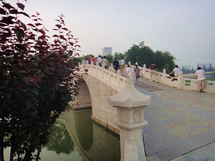 dsc01416.jpg