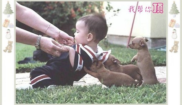 2010122231521.jpg