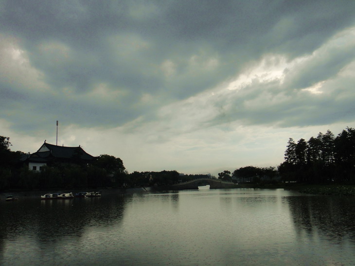 dsc01498.jpg