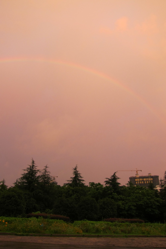 ʺ25122.jpg