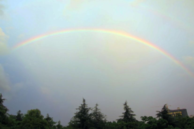 201162422201265619.jpg